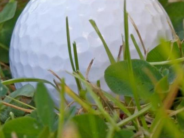 golf november